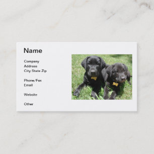Carte de visite de labrador retriever