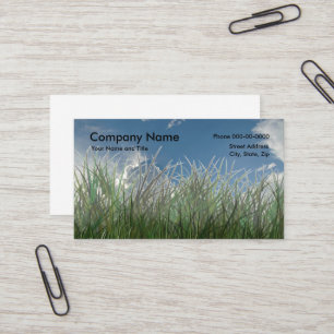 Carte de visite de Lawncare