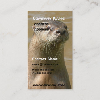 Carte de visite de loutre