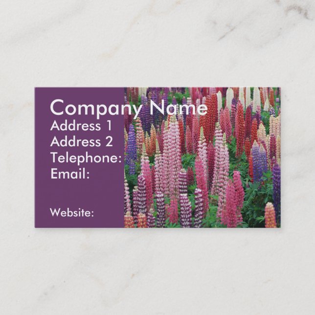 Carte de visite de lupins (Devant)