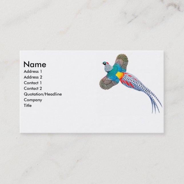 Carte de visite de Madame Amherst Pheasant (Devant)