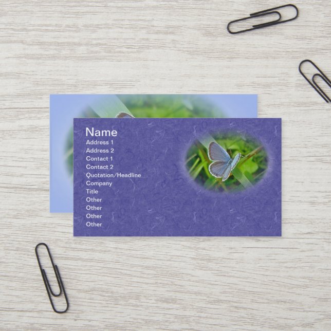 Carte de visite de papillon bleu à queue orientale (Devant/Arrière en situation)