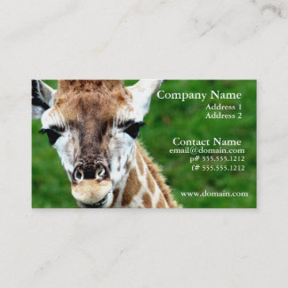Carte de visite de photo de girafe
