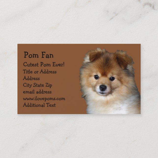 Carte de visite de photo de Pomeranian (Devant)