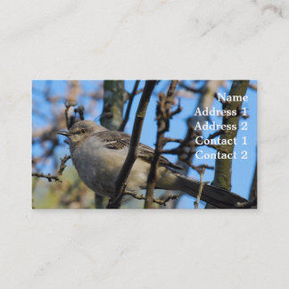 Carte de visite de photographie