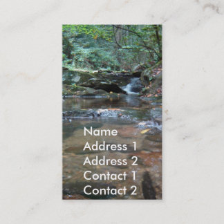 Carte de visite de photographie