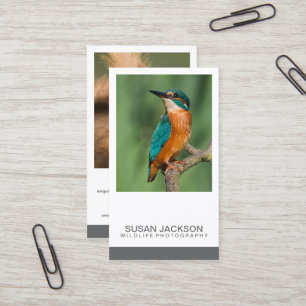 Carte de visite de photographie de deux images