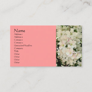 Carte de visite de photographie des fleurs du prin