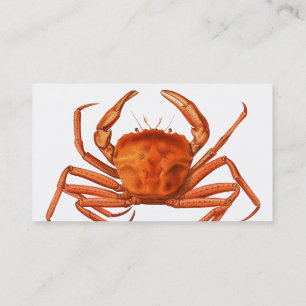 Carte de visite de poissonnerie - crabe rouge