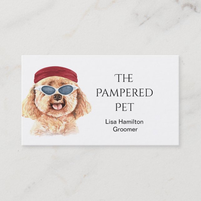 Carte de visite de poodle pour animaux de compagni (Devant)