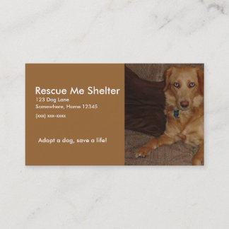 Carte de visite de refuge pour chiens