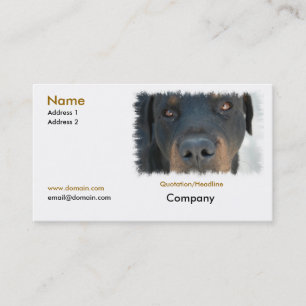 Carte de visite de rottweiler