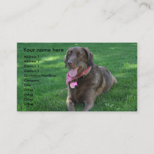 Carte de visite de soin des animaux familiers