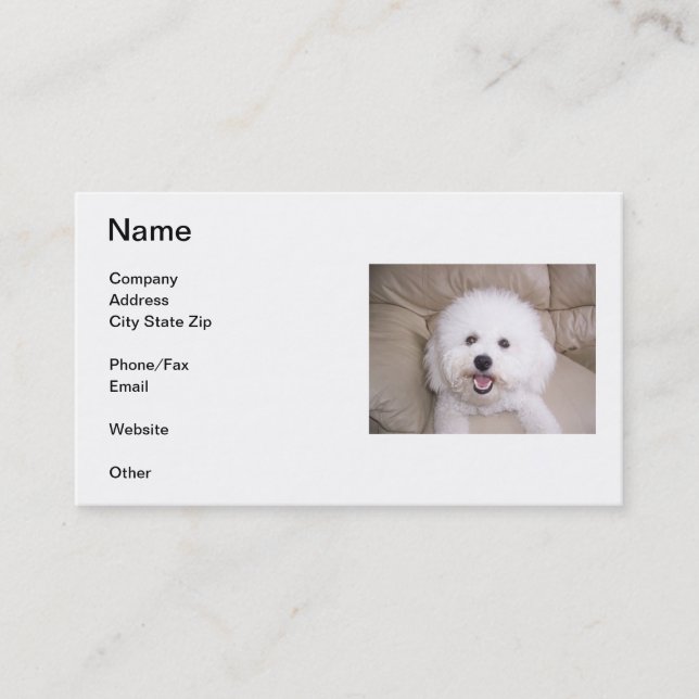 Carte de visite de sourire de Bichon Frise (Devant)