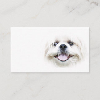 Carte de visite de sourire de tzu de shih