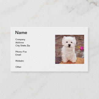 Carte de visite de Terrier blanc de montagne