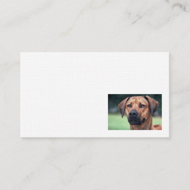 Carte de visite de toile de Rhodesian Ridgeback (Devant)