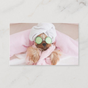 carte de visite de toilettage de chien