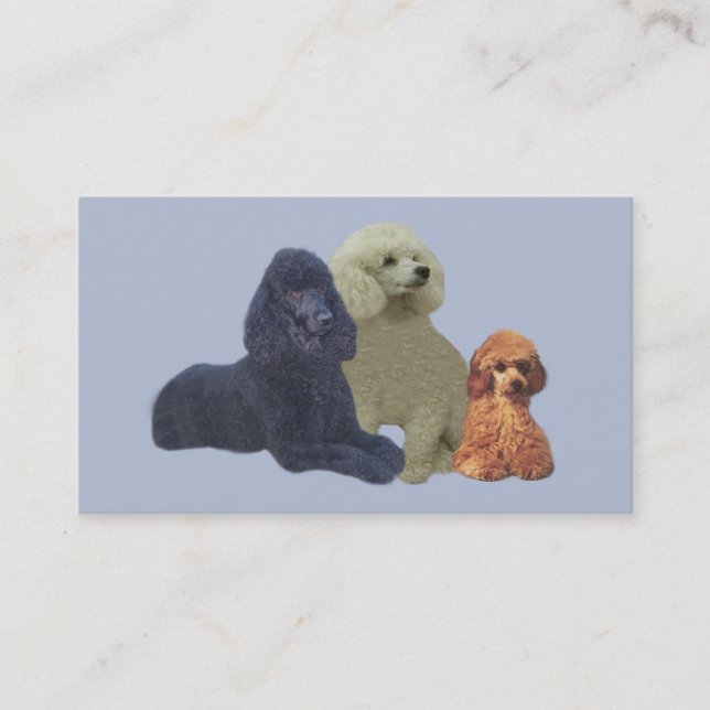 Carte de visite de trio de caniche (Devant)
