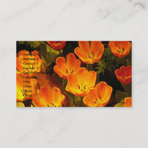 Carte de visite de tulipes orange