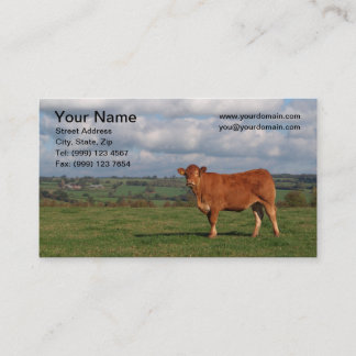 Carte de visite de vache