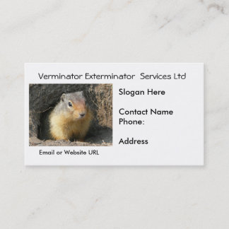 Carte de visite de vermine de rongeur