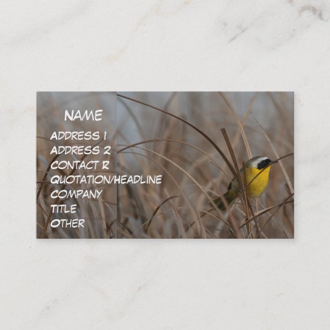 Carte de visite de Yellowthroat commun (Devant)
