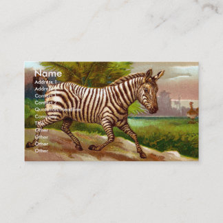 Carte de visite de zèbre