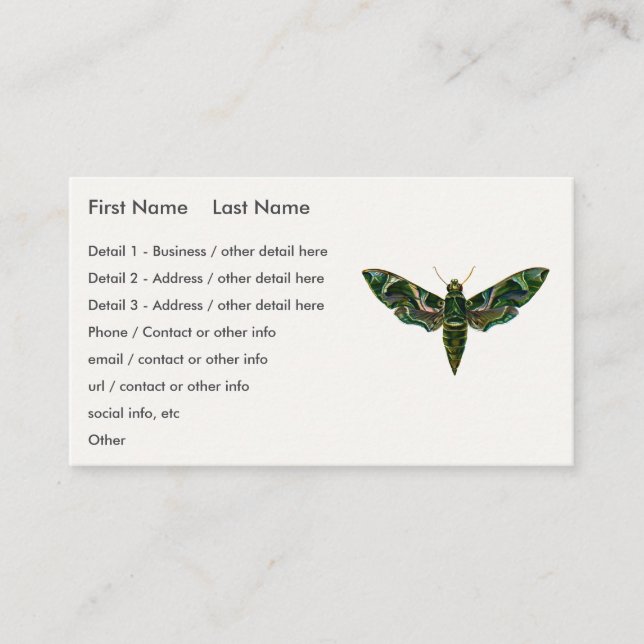 Carte De Visite Deilephila Nerii - Oleander Hawk-Moth (Devant)