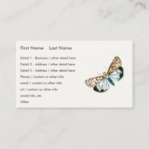 Carte De Visite Deiopeia pulchella - Flunkey moucheté