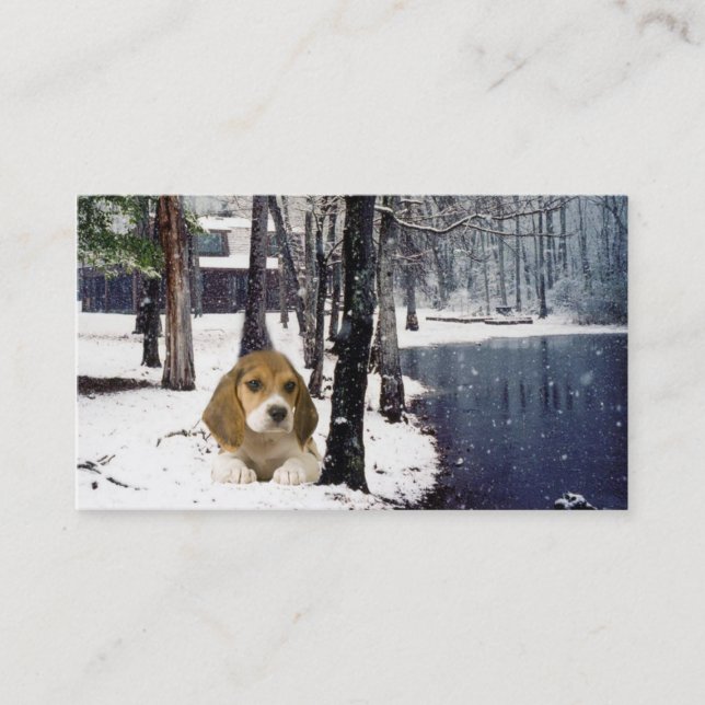 Carte de visite d'éleveur de beagle (Devant)