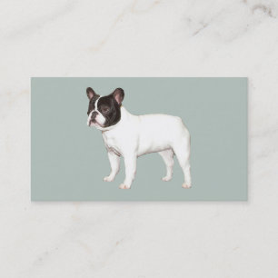 Carte de visite d'éleveur de bouledogue français