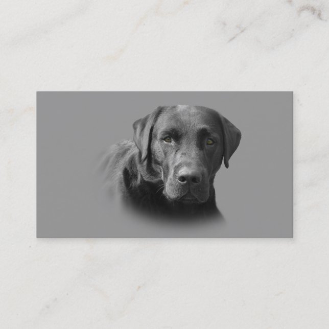Carte de visite d'éleveur de labrador retriever (Devant)