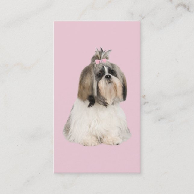 Carte de visite d'éleveur de Shih Tzu (Devant)