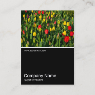 Carte De Visite Demi&Demi Photo 0150 - Tulipes colorées