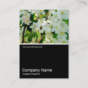 Carte De Visite Demi&Demi Photo 0221 - Faire du miel