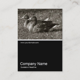 Carte De Visite Demi&demi photo 0243 - Oies grises