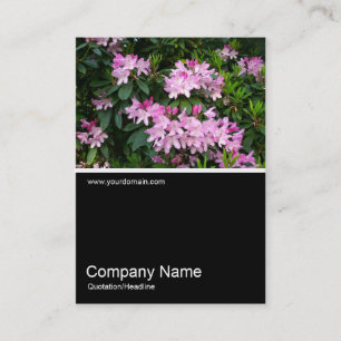 Carte De Visite Demi&demi photo 025 - Rhododendrons