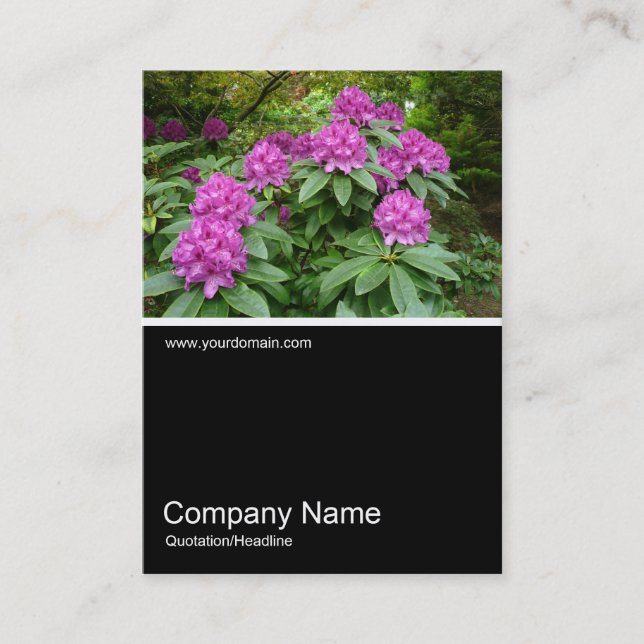 Carte De Visite Demi&demi photo 026 - Rhododendrons (Devant)