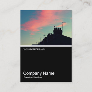 Carte De Visite Demi&Demi Photo 0386 - Oiseaux précoces