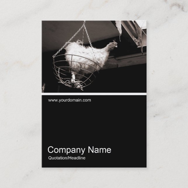 Carte De Visite Demi&demi photo 044 - Poulet dans le panier (Devant)