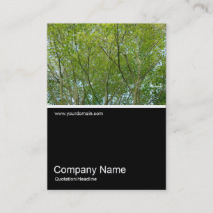 Carte De Visite Demi-mi-photo 0239 - Érable japonais