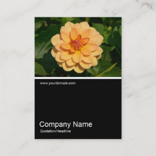 Carte De Visite Demi&mi photo 0281 - Dahlia 'David Howard'