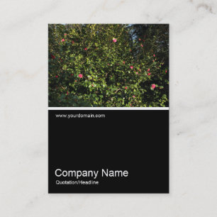 Carte De Visite Demi&mi photo 0313 - Camellia Bush