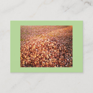 Carte De Visite Démontage et retrait des feuilles