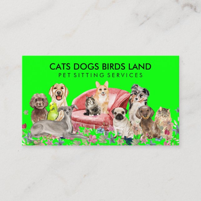 Carte De Visite Des animaux mignons sur un Arrière - plan vert can (Devant)