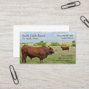 Carte de visite des producteurs laitiers de bovins