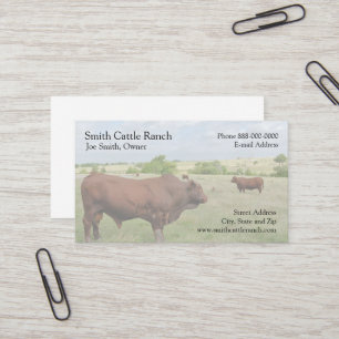 Carte de visite des producteurs laitiers de bovins