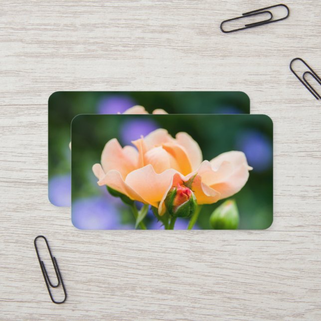 Carte De Visite désir (Devant/Arrière en situation)