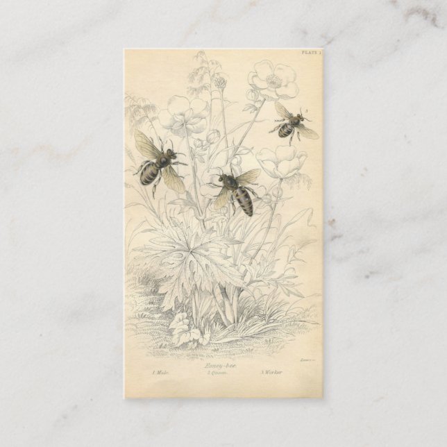 Carte De Visite Dessin d'abeilles vintages, personnalisé (Devant)